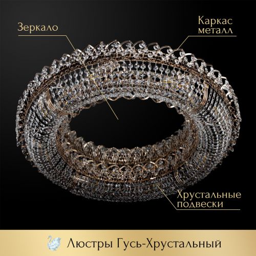 Люстра Кольцо оптикон в Липецке Гусь Хрустальный